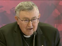 Kardinal Puljić pitao francuskog političara što imaju protiv Hrvata: Šokantno je što mu je odgovorio - featured image