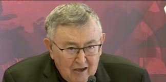 Kardinal Puljić pitao francuskog političara što imaju protiv Hrvata: Šokantno je što mu je odgovorio - featured image