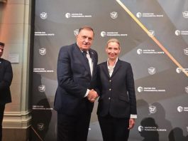 DODIK, AFD I MISTERIOZNI TUZLAK: Razotkriven šokantan plan infiltracije njemačke desnice u Federaciju BiH! - featured image