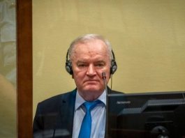 Oglasio se sin zločinca Ratka Mladića: “Nažalost, nemam dobre vijesti” - featured image