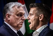 TEŽAK UDARAC DODIKOVOM PRIJATELJU: Peter Magyar povukao potez koji je uzdrmao Orbana - featured image