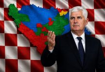 ČOVIĆEV PLAN ZA “TREĆI ENTITET”: “50.000 Hrvata iz dijaspore moglo trajno promijeniti političku sliku BiH!” - featured image