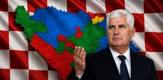 ČOVIĆEV PLAN ZA “TREĆI ENTITET”: “50.000 Hrvata iz dijaspore moglo trajno promijeniti političku sliku BiH!” - featured image