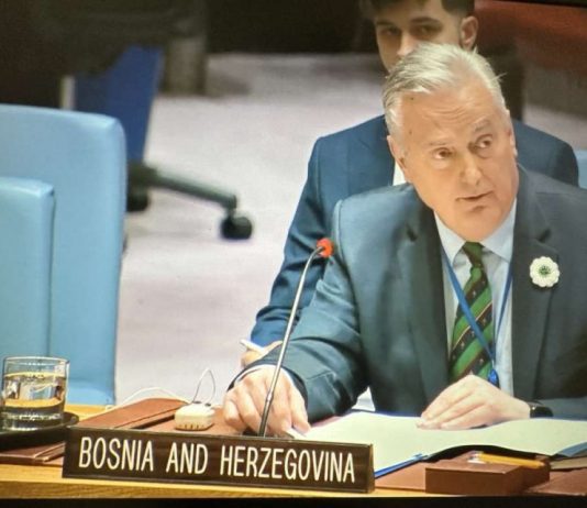 LAGUMDŽIJA PODIGAO BURU: Zna ko će zamijeniti Schmidta - featured image