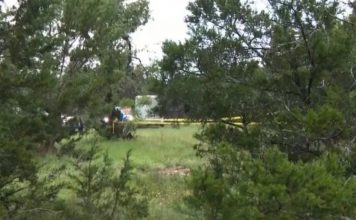 Tragedija: Srušio se avion sa igračima, poginulo pet osoba Tragedija: Srušio se avion sa igračima, poginulo pet osoba - featured image