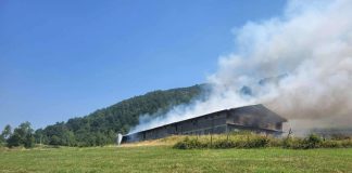 Zapaljena farma povratnika u Srebrenici Zapaljena farma povratnika u Srebrenici - featured image