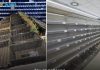 Velike nestašice zahvatile jug evropske države: Police su prazne, gradu prijeti paraliza - featured image