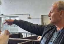 Jusuf se vratio iz Norveške u BiH i otvorio farmu krava. Sada se razočarao, ali da i dalje “ima nadu” Jusuf se vratio iz Norveške u BiH i otvorio farmu krava. Sada se razočarao, ali da i dalje “ima nadu” - featured image