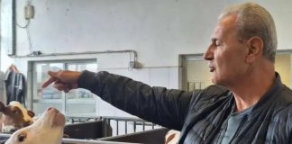 Jusuf se vratio iz Norveške u BiH i otvorio farmu krava. Sada se razočarao, ali da i dalje “ima nadu” - featured image