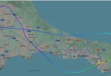Drama na letu za Sarajevo: Ptica udarila u kabinu aviona, pilot se vratio za Istanbul Drama na letu za Sarajevo: Ptica udarila u kabinu aviona, pilot se vratio za Istanbul - featured image