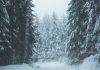 Hoće li biti prave zime? Nova prognoza ne raduje ljubitelje snijega ni u našem regionu Hoće li biti prave zime? Nova prognoza ne raduje ljubitelje snijega ni u našem regionu - featured image