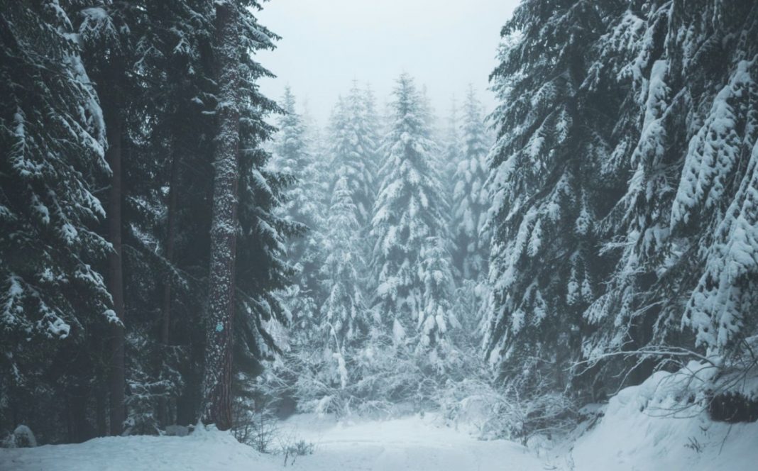 Hoće li biti prave zime? Nova prognoza ne raduje ljubitelje snijega ni u našem regionu - featured image