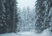 Hoće li biti prave zime? Nova prognoza ne raduje ljubitelje snijega ni u našem regionu - featured image