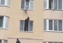 SNIMAK KOJI LEDI KRV: Spasioci u posljednjem trenutku stigli do djeteta - featured image