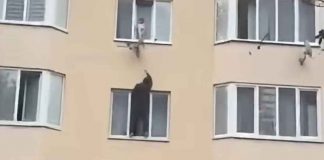 SNIMAK KOJI LEDI KRV: Spasioci u posljednjem trenutku stigli do djeteta SNIMAK KOJI LEDI KRV: Spasioci u posljednjem trenutku stigli do djeteta - featured image
