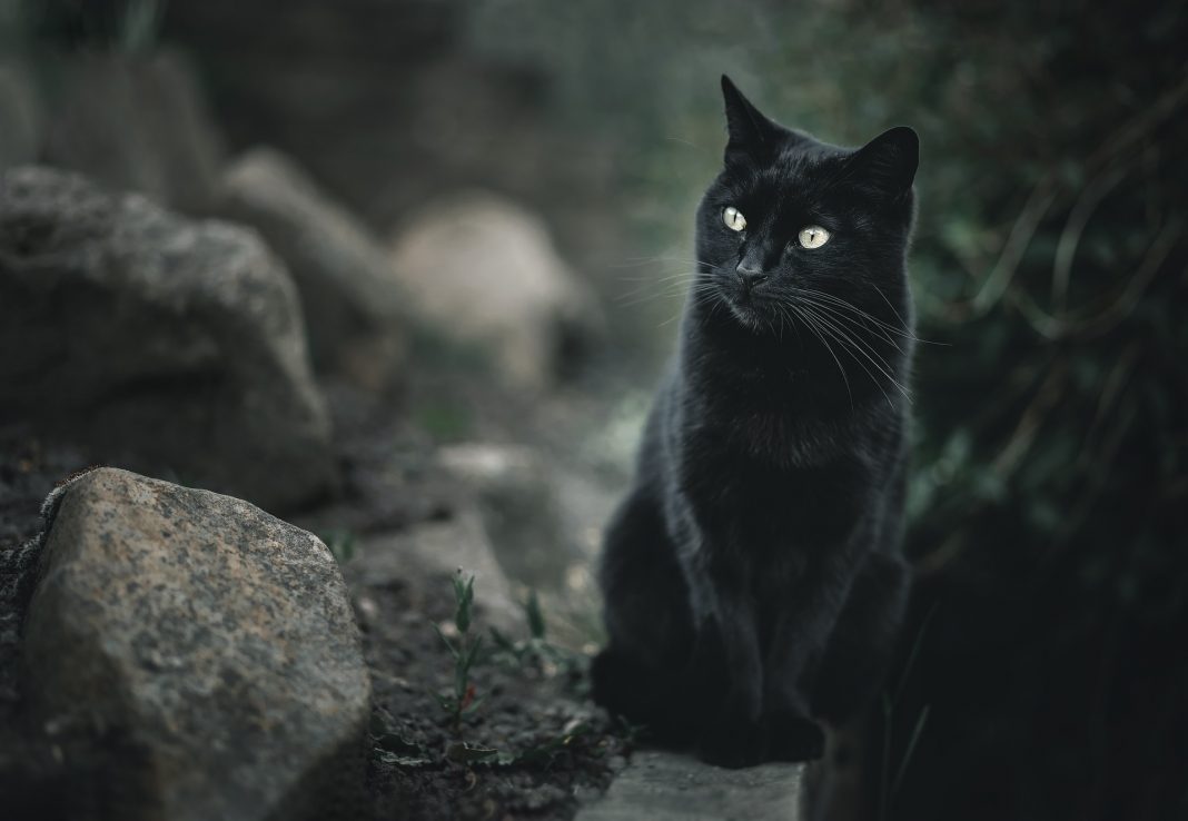 Top lista najraširenijih praznovjerja među Bošnjacima - featured image