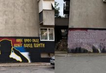 Uništen mural posvećen zločincu Ratku Mladiću u Srbiji: Preko njega ispisano "Studenti pobjeđuju" - featured image