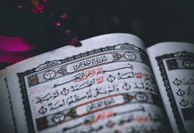 Poučna priča: Sura kao mehr Poučna priča: Sura kao mehr - featured image